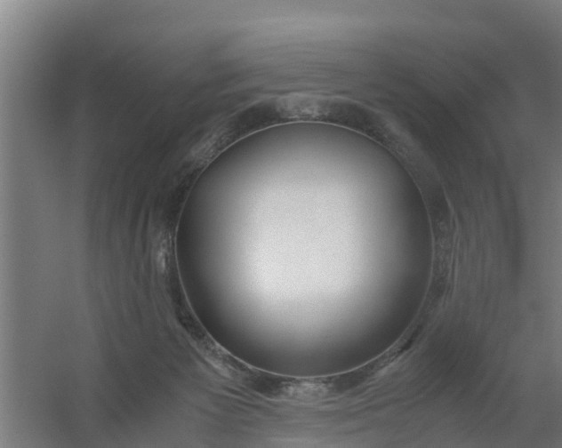 X0000059810125200511041703