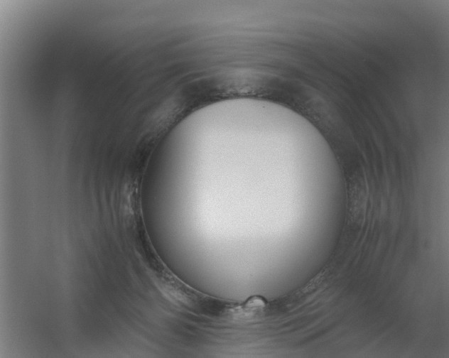 X0000059810126200511041703