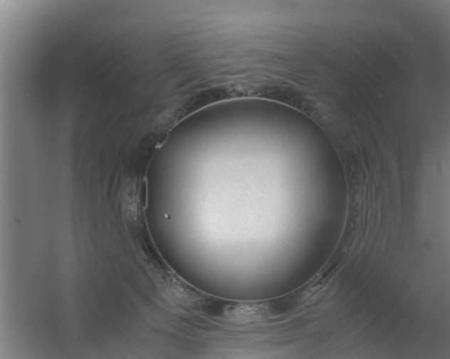 X0000059810129200511041703