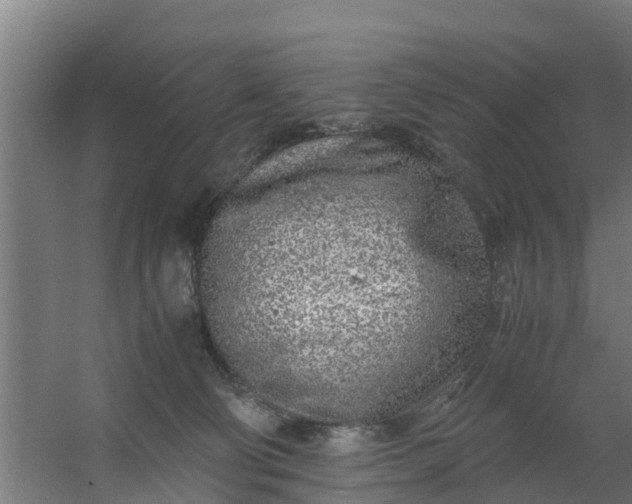 X0000059810130200511041703