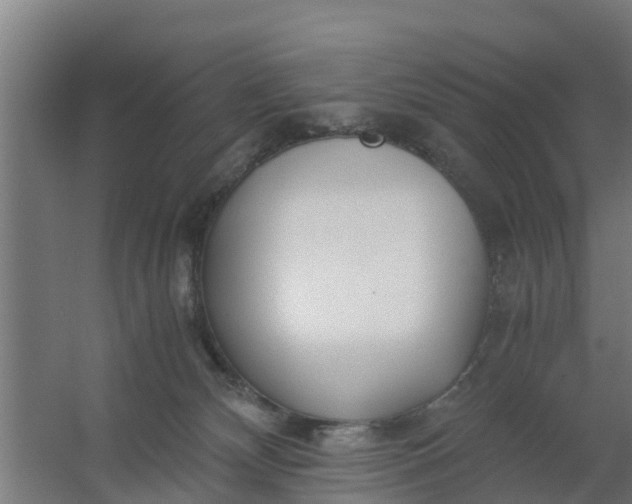 X0000059810132200511041703