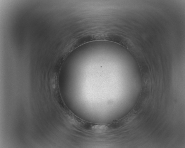 X0000059810133200511041703