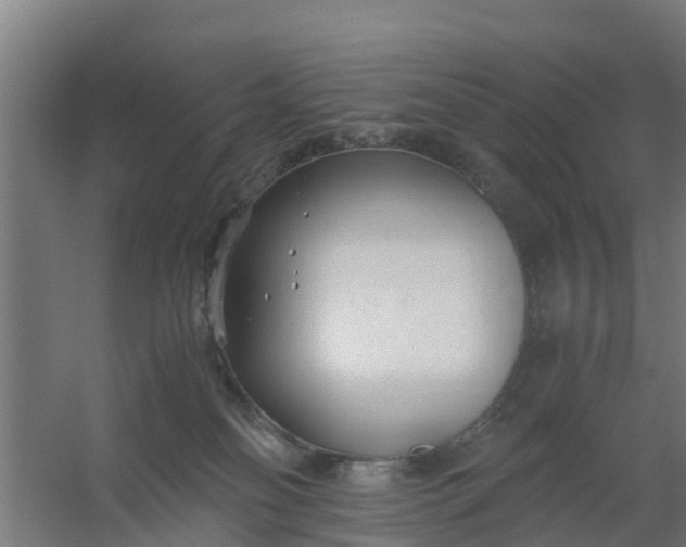 X0000059810134200511041703