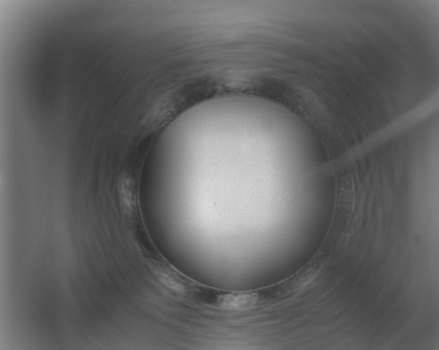 X0000059810135200511041703