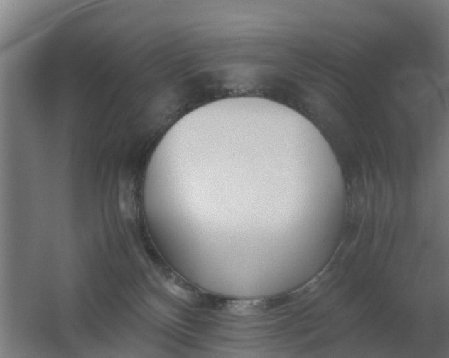 X0000059810136200511041703