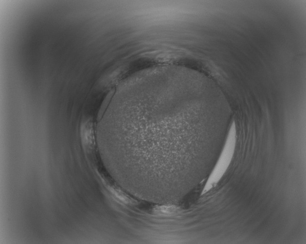 X0000059810137200511041703