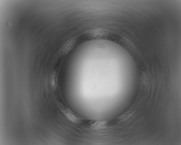 X0000059810138200511041703