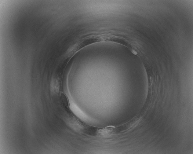 X0000059810139200511041703