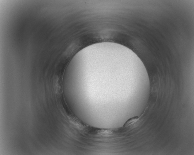 X0000059810140200511041703