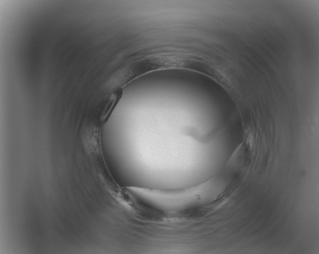 X0000059810141200511041703