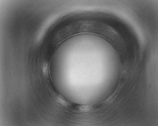 X0000059810142200511041703