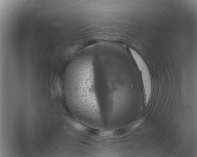 X0000059810143200511041703