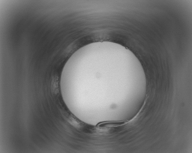 X0000059810144200511041703