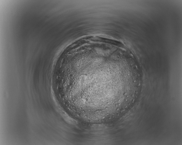 X0000059810145200511041702