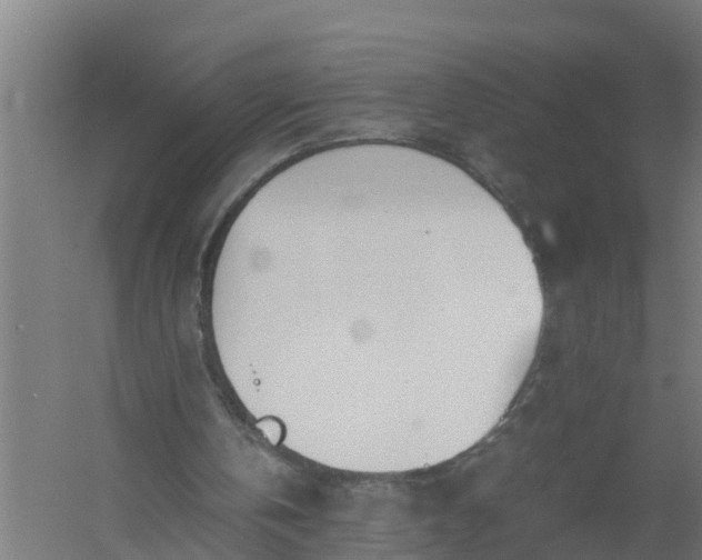 X0000059810146200511041702