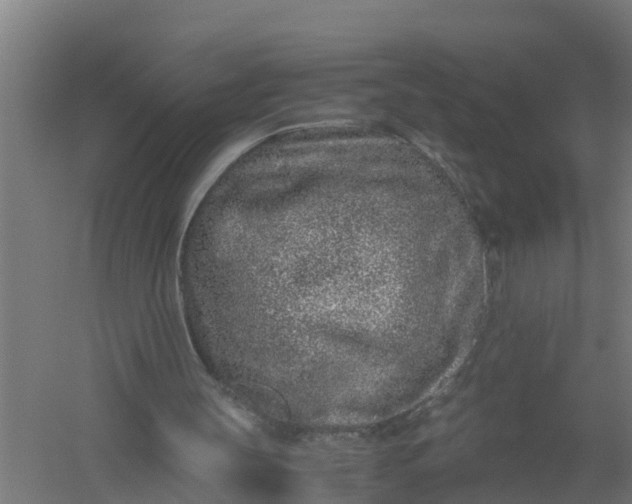 X0000059810147200511041702