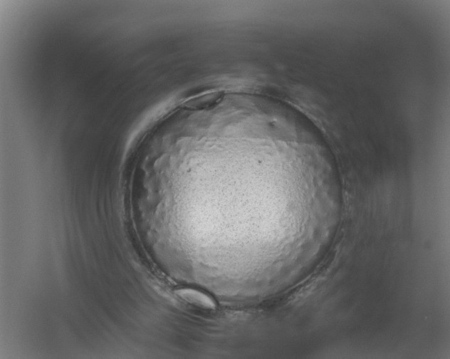 X0000059810149200511041702