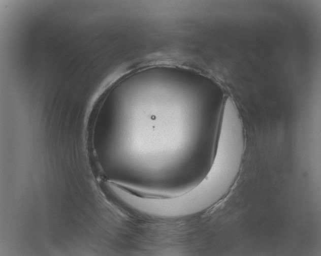 X0000059810150200511041702