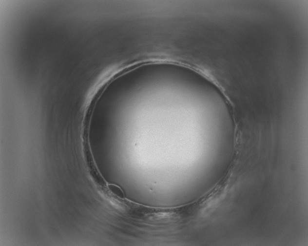 X0000059810151200511041702