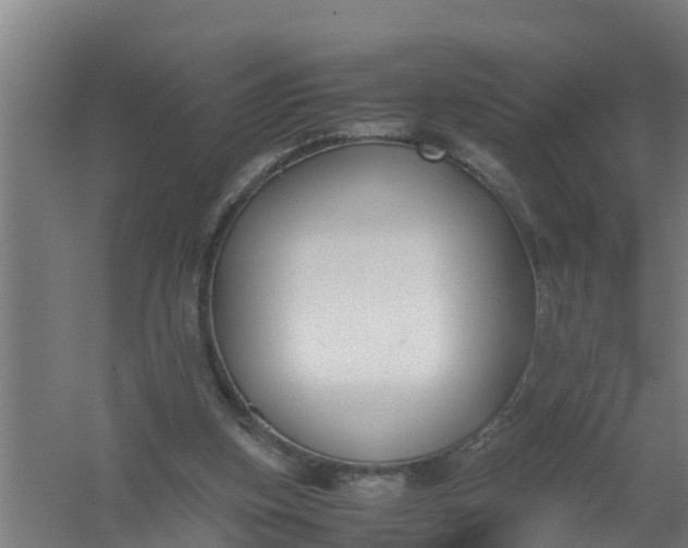 X0000059810155200511041702