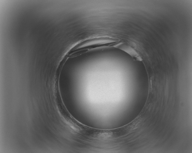 X0000059810156200511041702