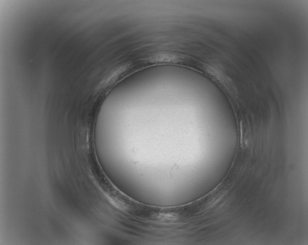 X0000059810157200511041702