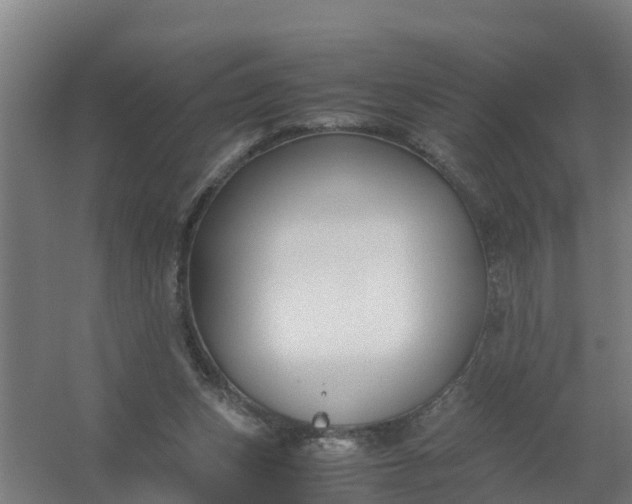 X0000059810159200511041702