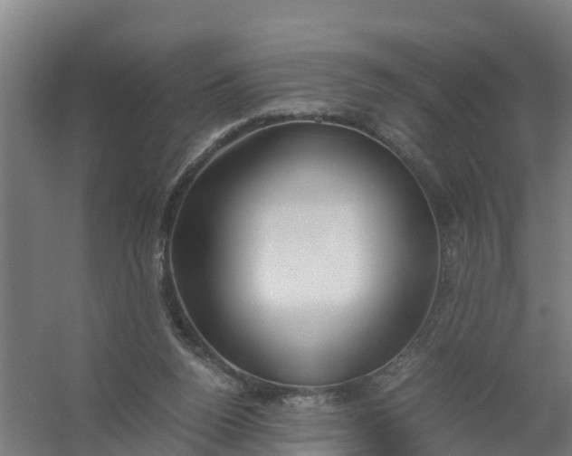 X0000059810160200511041702