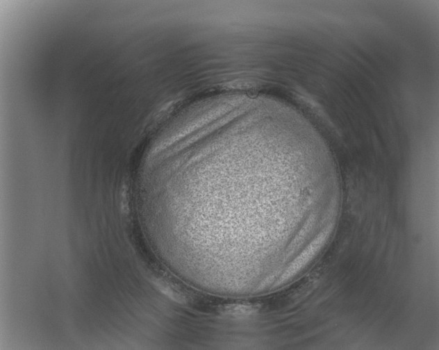 X0000059810161200511041703