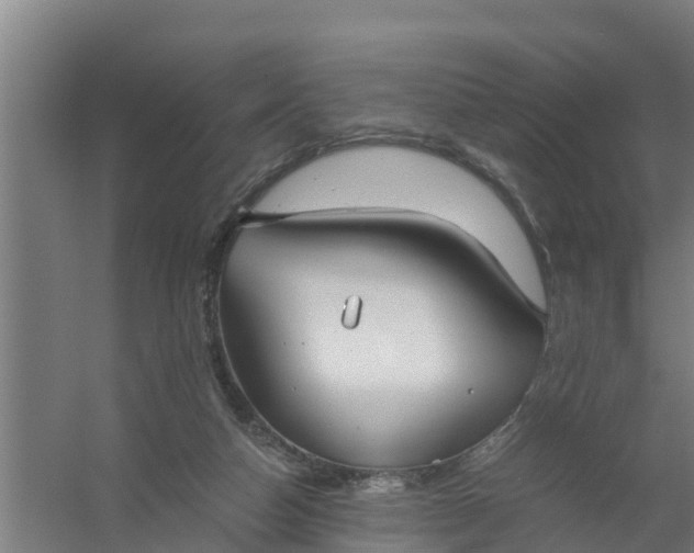 X0000059810162200511041703