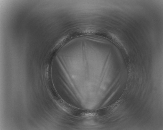 X0000059810163200511041703