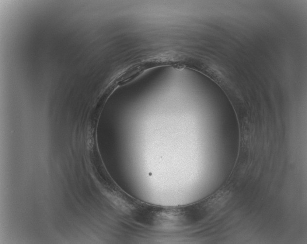 X0000059810164200511041703