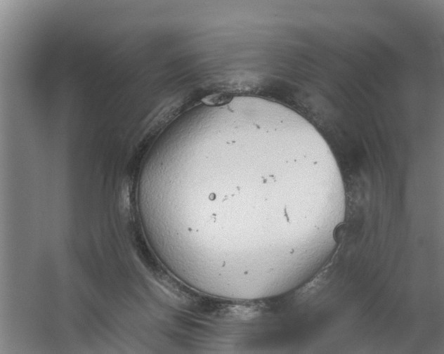 X0000059810166200511041703