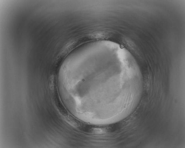 X0000059810167200511041703