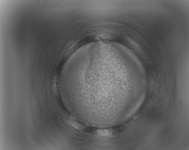 X0000059810169200511041703