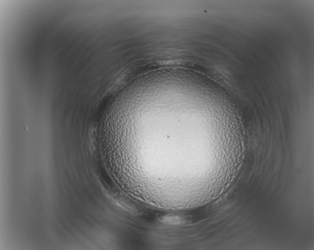 X0000059810171200511041703