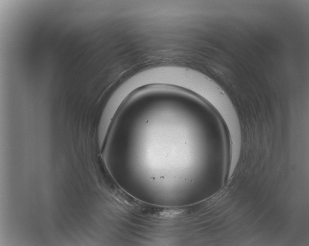 X0000059810172200511041703