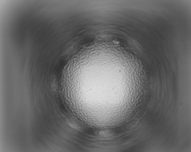 X0000059810173200511041703