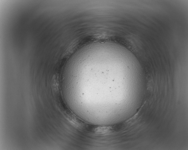 X0000059810179200511041703