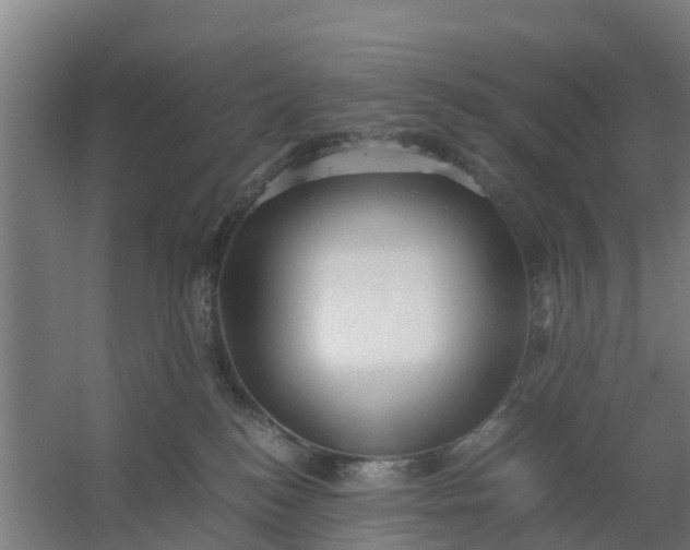 X0000059810184200511041703