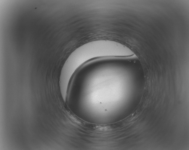 X0000059810185200511041703