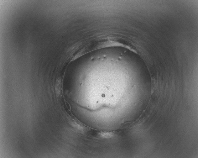 X0000059810189200511041703