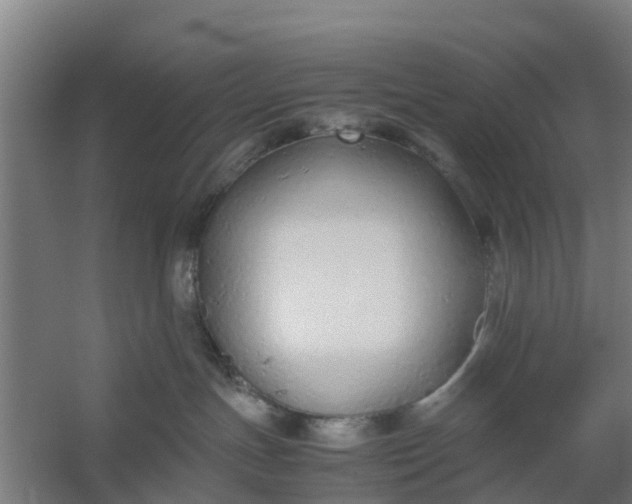 X0000059810191200511041703