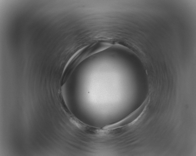 X0000059810192200511041703