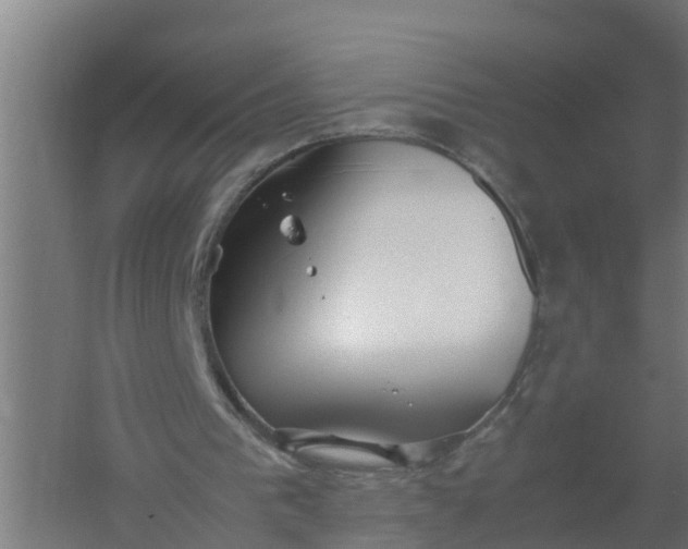 X0000059810193200511041702