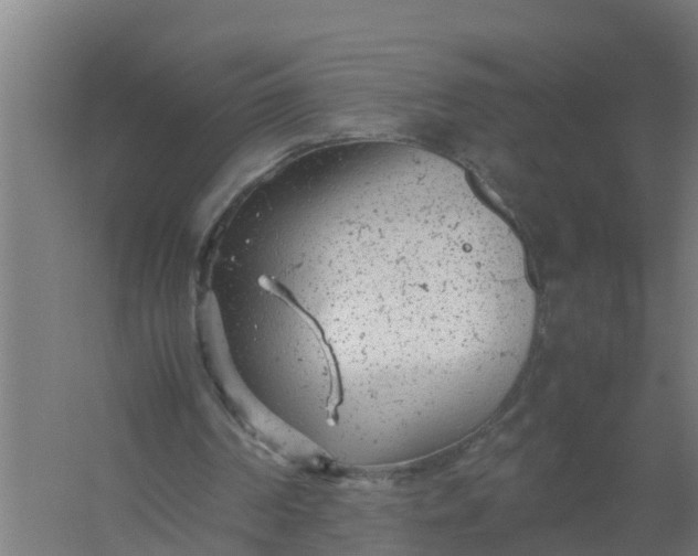 X0000059810194200511041702