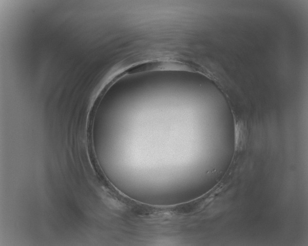 X0000059810195200511041702