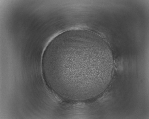 X0000059810196200511041702