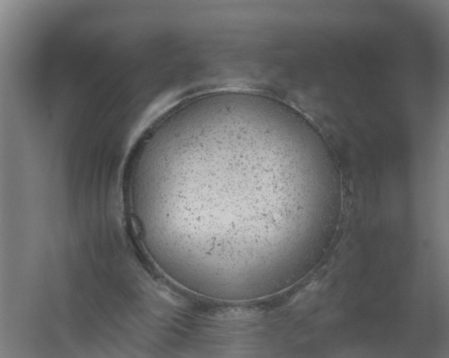 X0000059810198200511041702