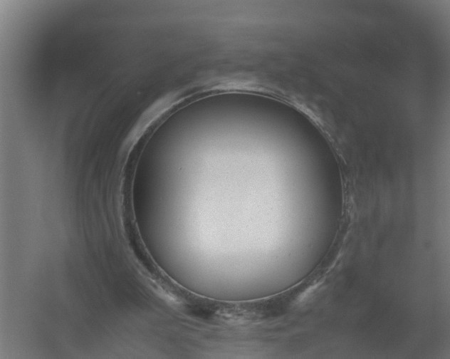 X0000059810199200511041702